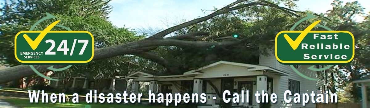 Go to: Emergency Tree Removal